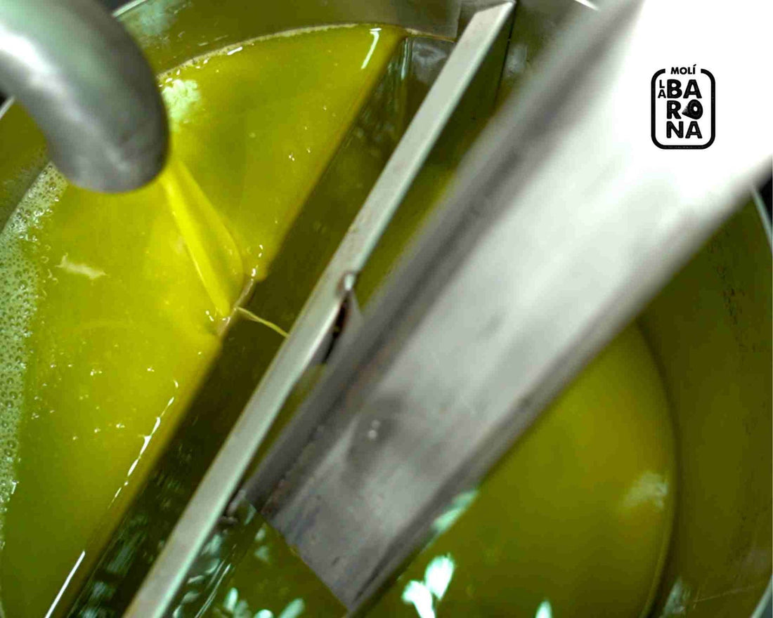 ¿Cómo se produce el aceite de oliva?
