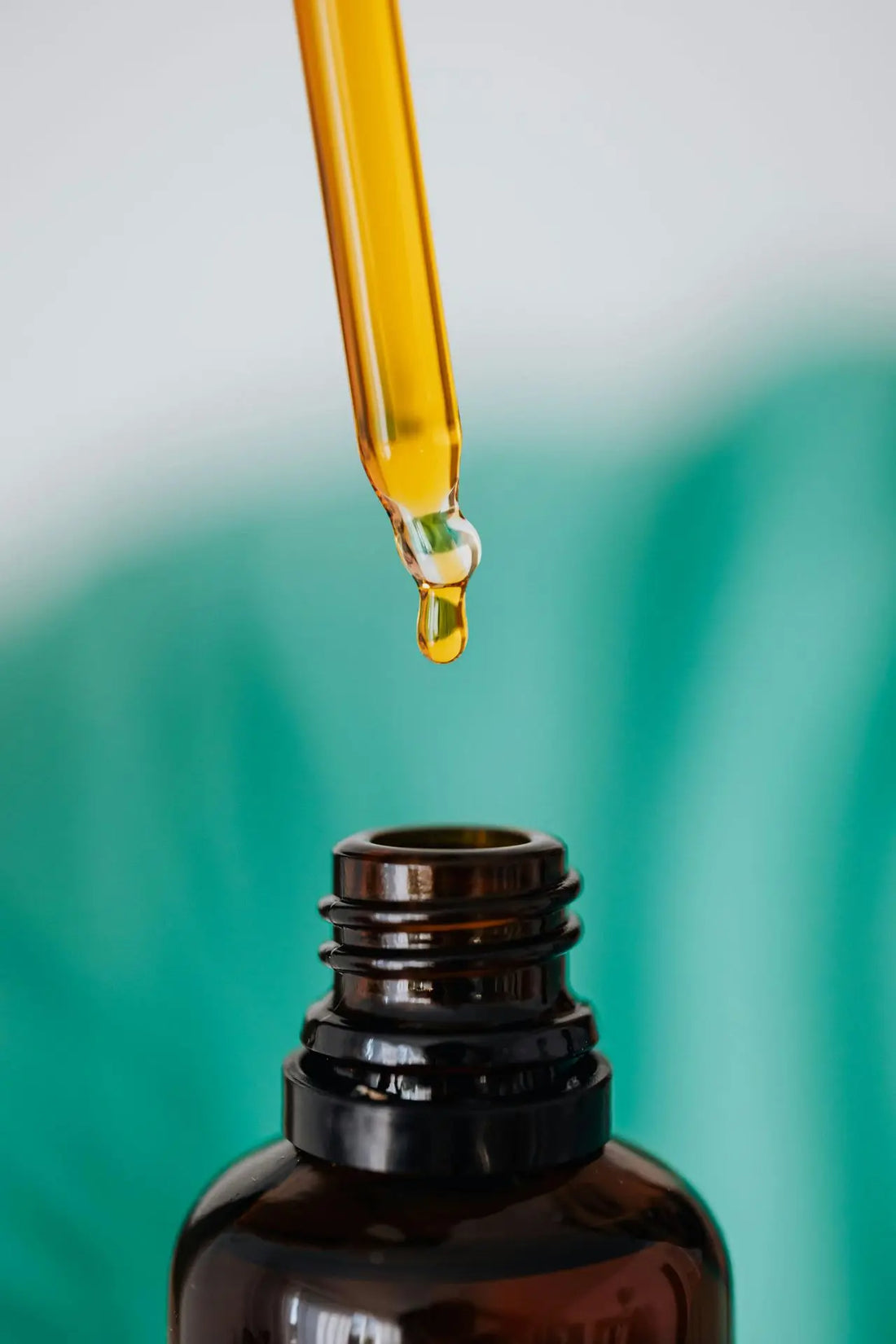 Aceite lampante